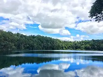 Reflections in Lake Eacham