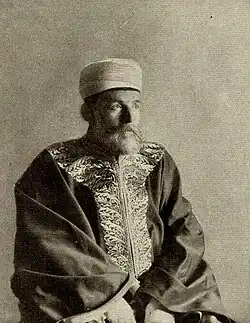 Mehmed Džemaludin Čaušević, Grand Mufti for Bosnia and Herzegovina