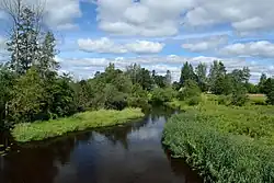 Reiu river