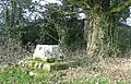 Two stone steps on a roadside grassy bank