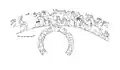 Reproduction of the frieze surrounding the vessel