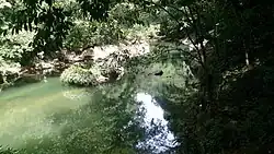 A jungle river