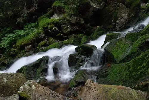 A small waterfall on the Stânișoara stream.
