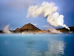 Diatomite plant