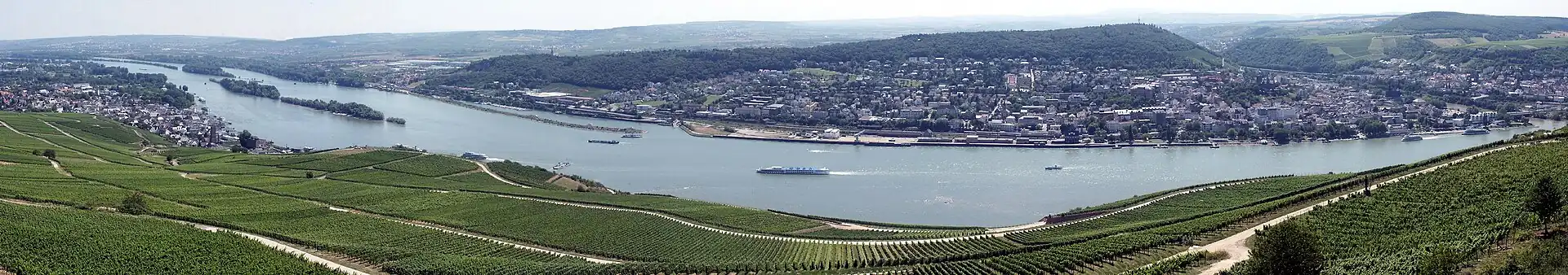 View from the Niederwald-Monument into the Rheingau