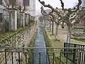 Stream of Castillejo de Robledo.