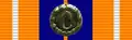 Pro Patria Medal (South Africa)