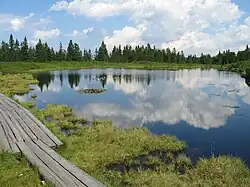 Image 8Lake Ribnica on Pohorje