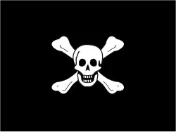 Richard Worley's death's head flag.