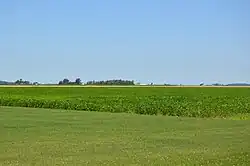Soybean field on SR 65[1]