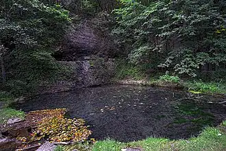 Spring pond