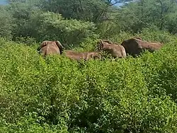 Rimoi National Park