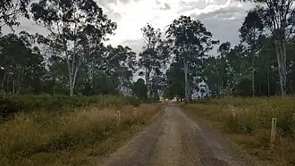 Ripley Road, 2023