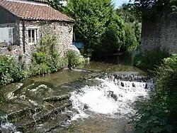 Water flowing through a channel and over a weir between a building and a wall. Vegeatation on both sides of the water.