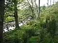 River Ure west of Hawes