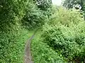 Riverside Walk