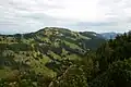 Roßkopf (1596 m)