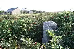 Fig. d30: the cross at Leswidden