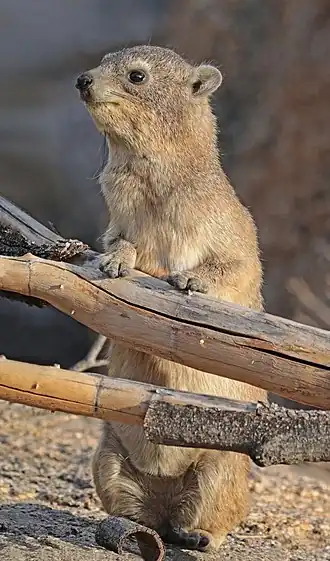 In Namibia