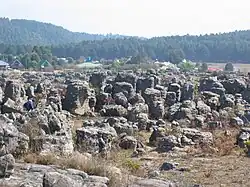 Rock fields near the town of Kaapschehoop