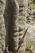 Some of the ogham found on the stone.