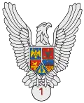 Current pilot badge, 1st class