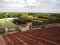 Roof Garden