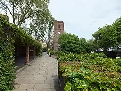Roper's Garden