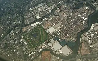 Aerial view of Camellia
