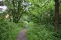 Roughtalley's Wood