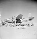Boston Mk.III of 12 Sqn, -1943