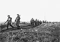 Royal Winnipeg Rifles