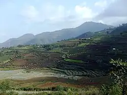 Mường Khương rice terrace