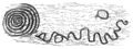 Sketches of neolithic art from Dowth