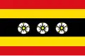 Flag of Ruinen