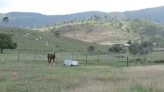 Rural landscape, Mount Chalmers, 2016