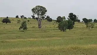 Rural landscape, Woolthorpe Road, 2014