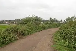 Road to Nemam