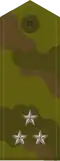 Senior Lieutenant