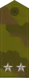 Lieutenant Colonel