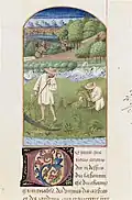Rustican by Pietro de' Crescenzi, f.203v.