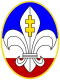 Ruthenian Girl and Boy Scouts