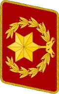 Gorget patch (1933–1934)
