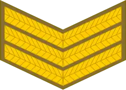Sergeant (South African Army)[105]
