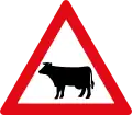 Animals crossing
