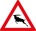 Wild animals crossing