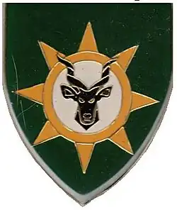13 SAI emblem, 13 SAI was amalgamated with 14 SAI
