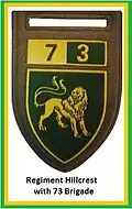 SADF 7 Division 73 Brigade Regiment Hillcrest Flash