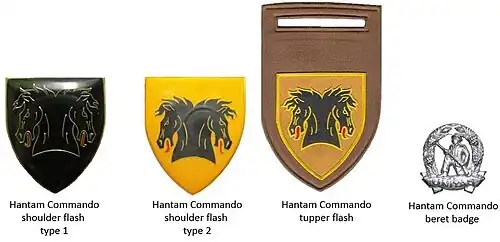SADF era Hantam Commando insignia