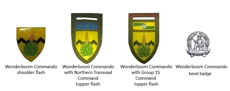 SADF era Wonderboom Commando insignia